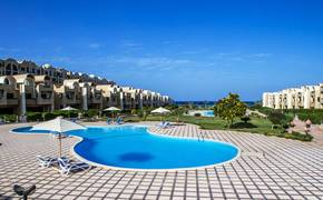 GRAVITY SAHL HASHEESH EX Ocean Breeze Sahl Hasheesh
